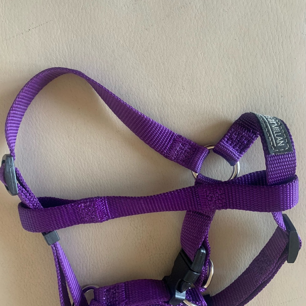 Harness - Picture 3 of 3